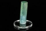 Bi-Colored Aquamarine Crystal - Transbaikalia, Russia #175645-2